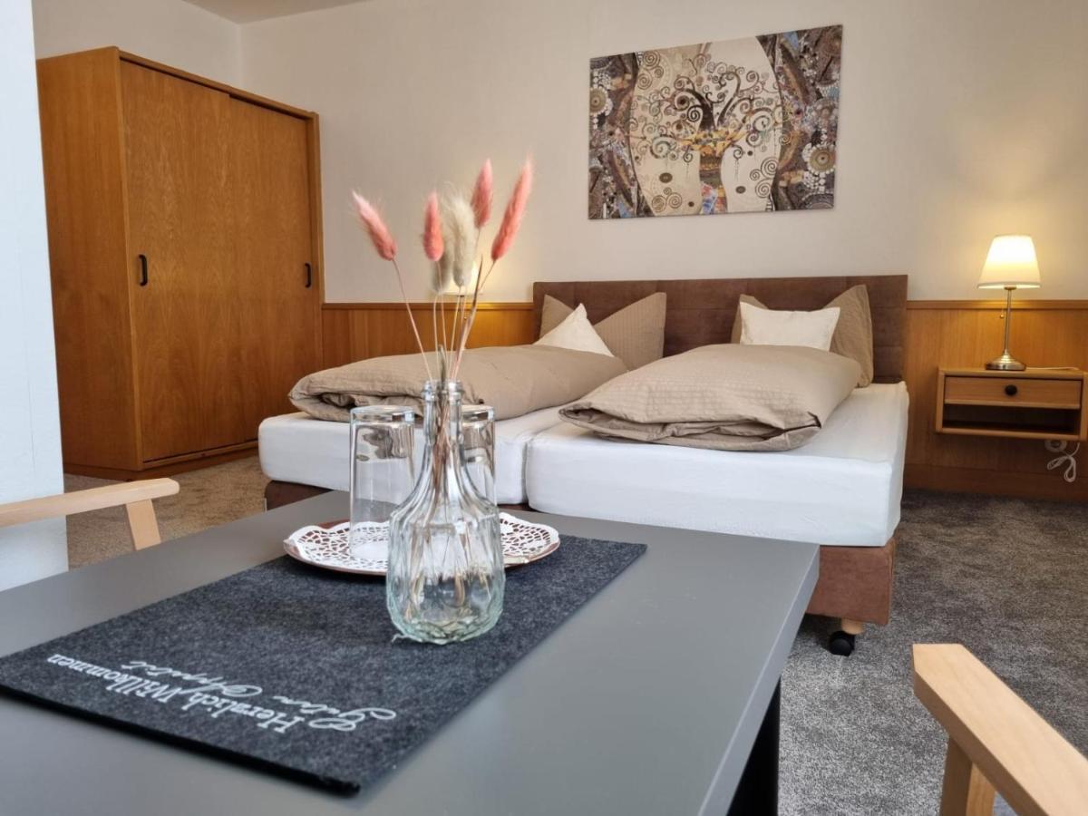 Sevda'S Hotel Garni Weinforth Willingen  Extérieur photo
